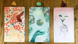 YOUR PRESENT FROM THE UNIVERSE! OPEN IT!🕊🍏🌱 | Pick a Card Tarot Reading