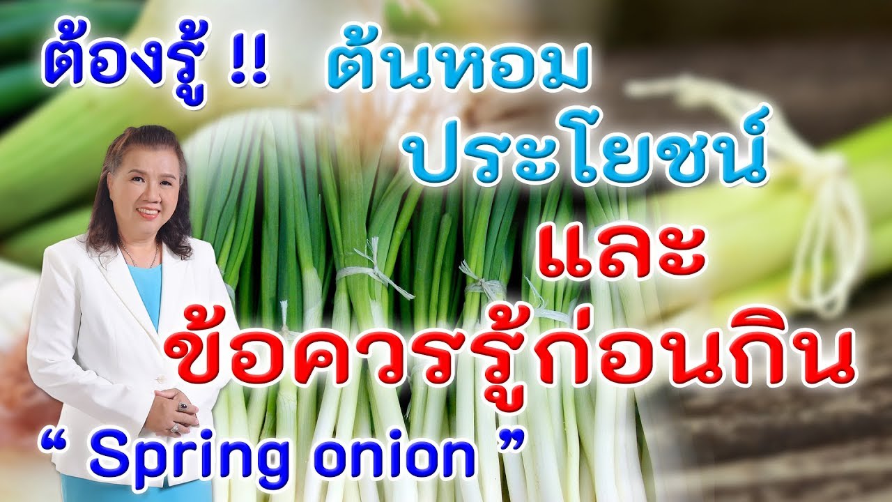 สรรพคุณ ของ ต้น หอม  New  ต้องรู้ !! ต้นหอมมีประโยชน์มากมายและข้อควรรู้ก่อนกิน | spring onion | พี่ปลา Healthy Fish