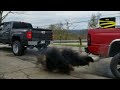 F450 VS Ram2500 VS Chevy1500