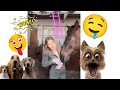 🦄🚀🤪cute animal funny videos ❤️‍🔥 #shorts #viral #hotgirl 🦄