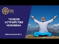 Лекция - Первоэлементы - части физического тела человека