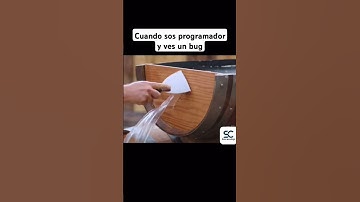 Solucionando bugs siendo programador 😅 #meme #programming #memes #programacion #coding