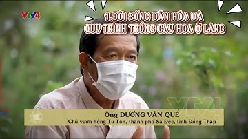 GIỚI THIỆU VỀ LÀNG HOA SA ĐÉC - FESTIVAL HOA KIỂNG SA ĐÉC LẦN 2