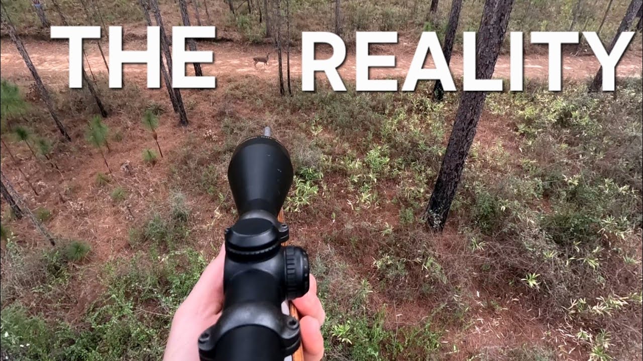 Охота на оленей в некоторых из моих старых мест!