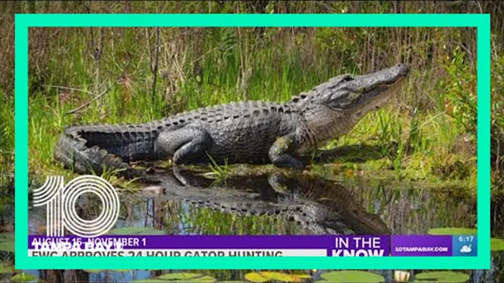 FWC approves statewide changes to alligator hunting