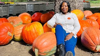 Pumpkin Patch visit by Hayride at Carrigan Farms #CarriganFarms #mooresvillenc 