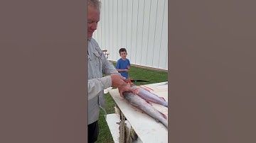 CLEANING CATFISH🎣 #fishing #catfishing #fishinglife #fishingvideos #fishingtips #filletfish #fillet