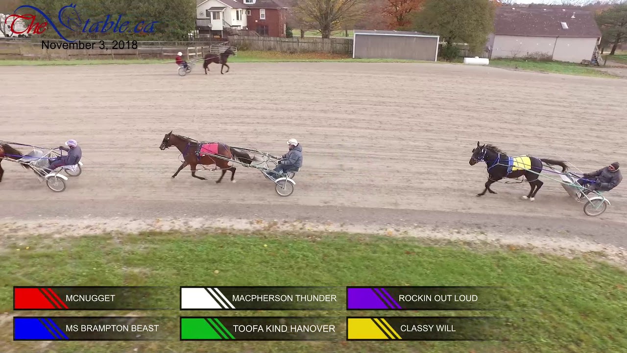 MCNUGGET, MS BRAMPTON BEAST,MACPHERSON THUNDER,TOOFA KIND HANOVER,ROCKIN OUT LOUD,CLASSY WILL DRONE