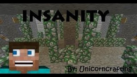 Minecraft: Insanity Puzzle Map Play/Walkthrough