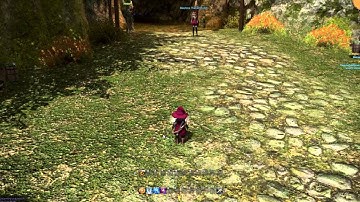 Final Fantasy XIV A Realm Reborn - Walking around Gridania