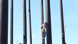Line Tech Fundamentals students climbing poles