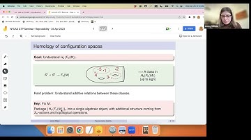 "Stability patterns for braid groups and configuration spaces", talk by Jenny Wilson at CQTS @ NYUAD