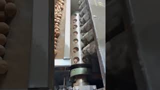 This Machine Has One Job: Crack Every Walnut! 🌰