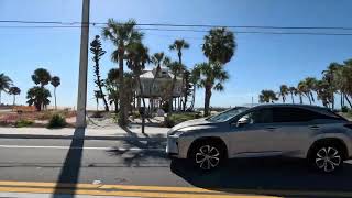 A SLOTHCHILD IN FT MYERS BEACH