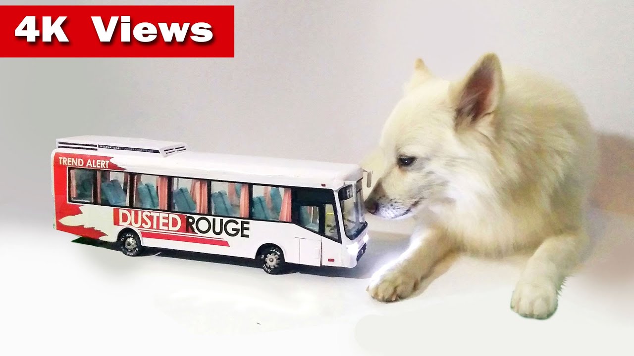 How to make Tourist Volvo BUS by Paper n cardboard. PART -1