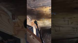 ZeroMold Chicago attic mold removal