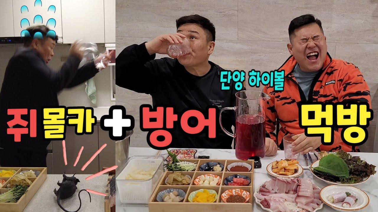 방어회,머리구이 먹방!!단양 하이볼 최초공개!!주방에서 쥐가 나온다면??