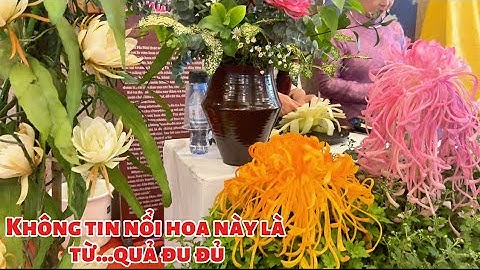 Không tin được hoa này lại nở từ quả👏🏻 #nghethuat #giaitri #xuhuongyoutube #hodiepthanhthanh 