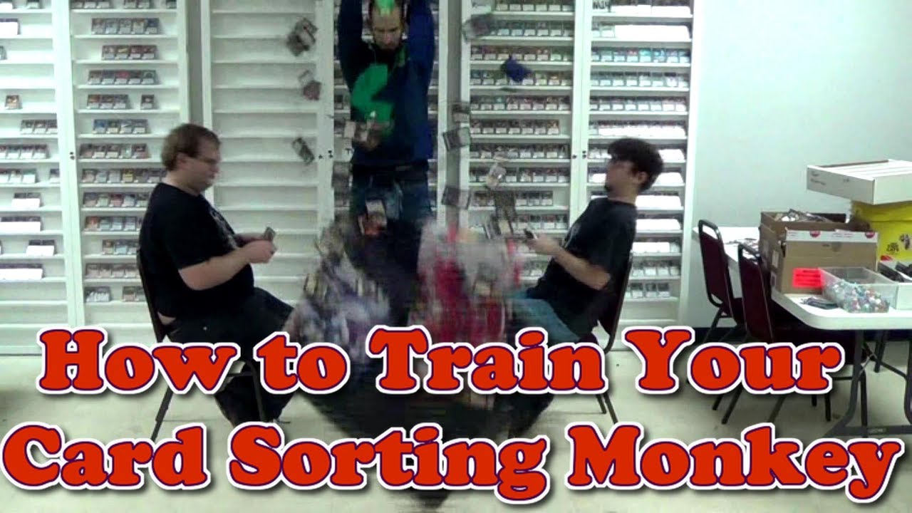How to Train Your Card Sorting Monkey - YouTube