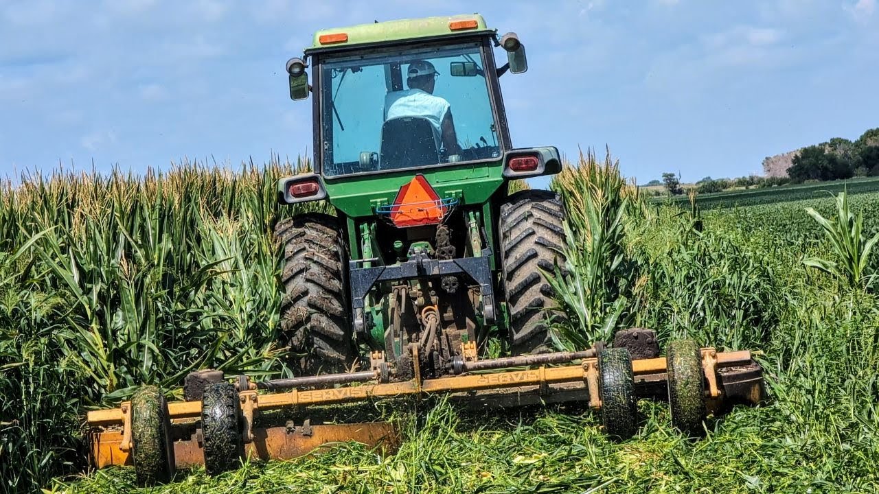 John Deere 4630 Shredding Seed Corn Rows