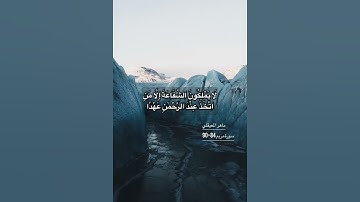 فَلَا تَعْجَلْ عَلَيْهِمْ ۖ إِنَّمَا نَعُدُّ لَهُمْ عَدًّا )) #سورة_مريم