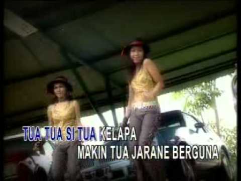 BERANDAL TUA | DEWI KIRANA