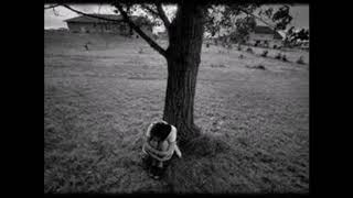 Hüseyin Karataş - Hastane Önünde İncir Ağacı