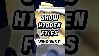 How to View Hidden Folders in Windows 11 🖥️