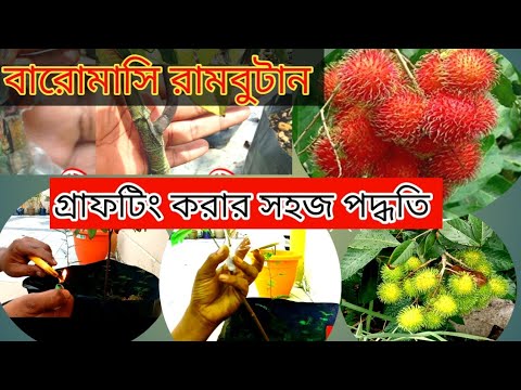 ভিডিও: ফলন পয়েন্ট কীভাবে নির্ধারণ করা যায়