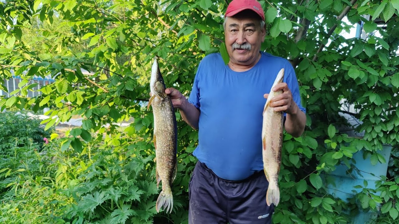 Рыбалка на щуку