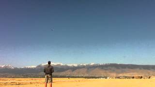 Trex 600EFL maiden3D