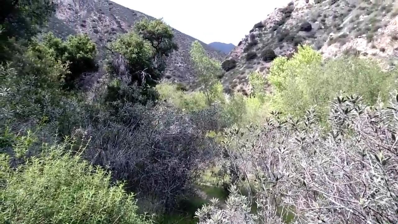 Hiking Big Tujunga Canyon along Golden Creek to Trail Canyon Falls near