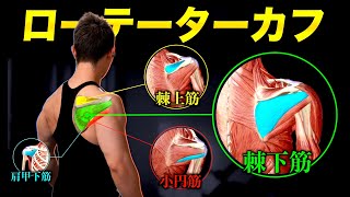 [Muscle training] A video that leaves everything about the rotator cuff.