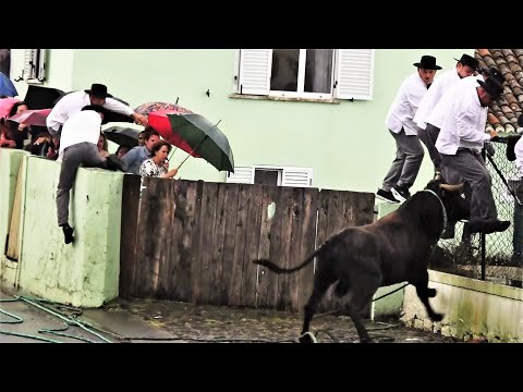 Tourada à corda no Raminho, 2023