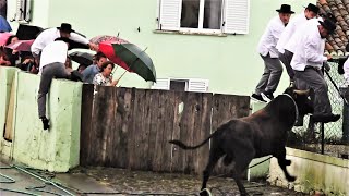 Tourada à corda in Raminho, 2023
