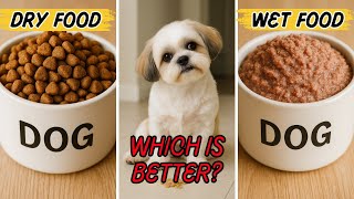 4 Reasons Your Shih Tzu Can’t Eat Every Type Of Food - Are You Choosing The Right One?