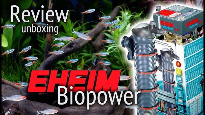 Aquarium filter Eheim biopower quick look and thoughts 
