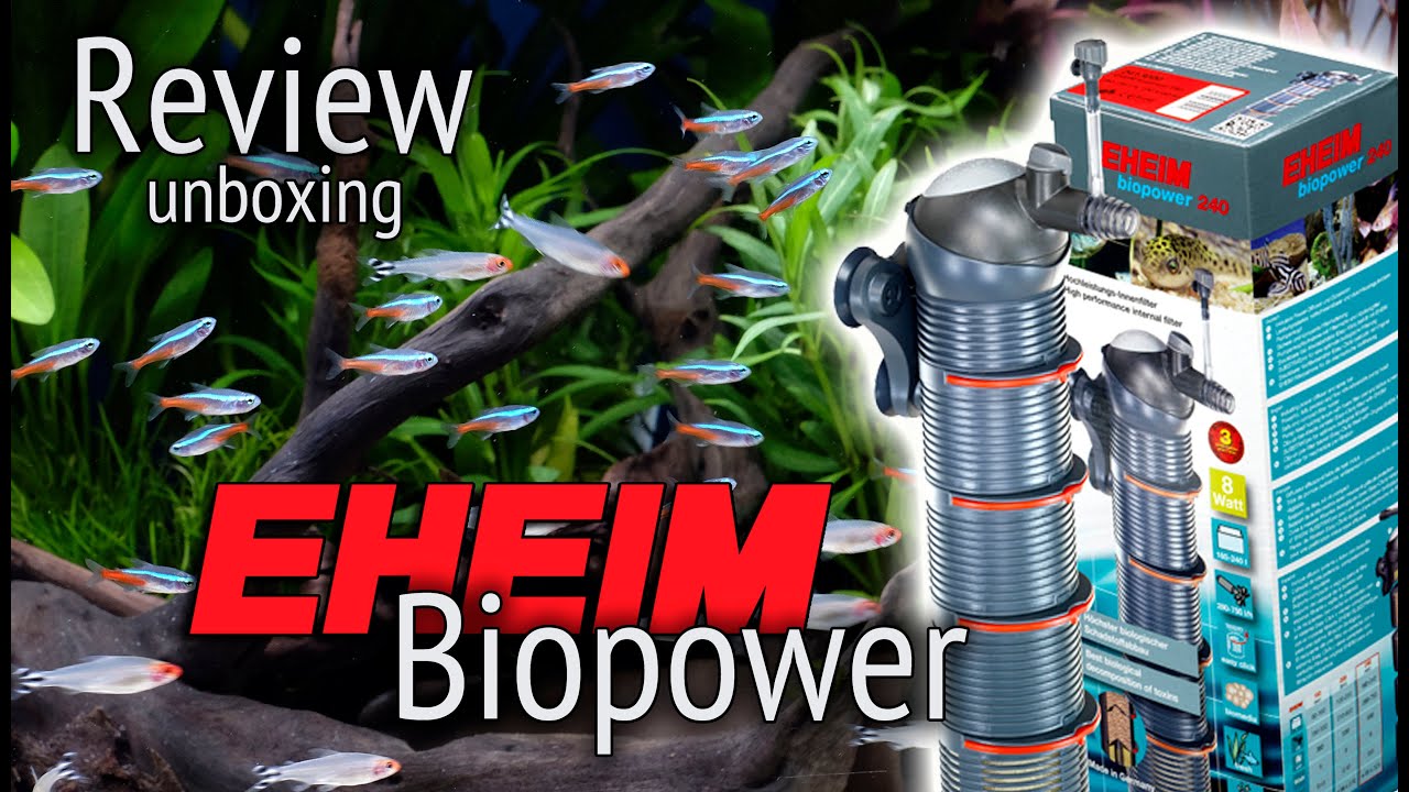 Eheim Biopower filtro interior con prestaciones de filtro exterior para tú  acuario - Review 👍 