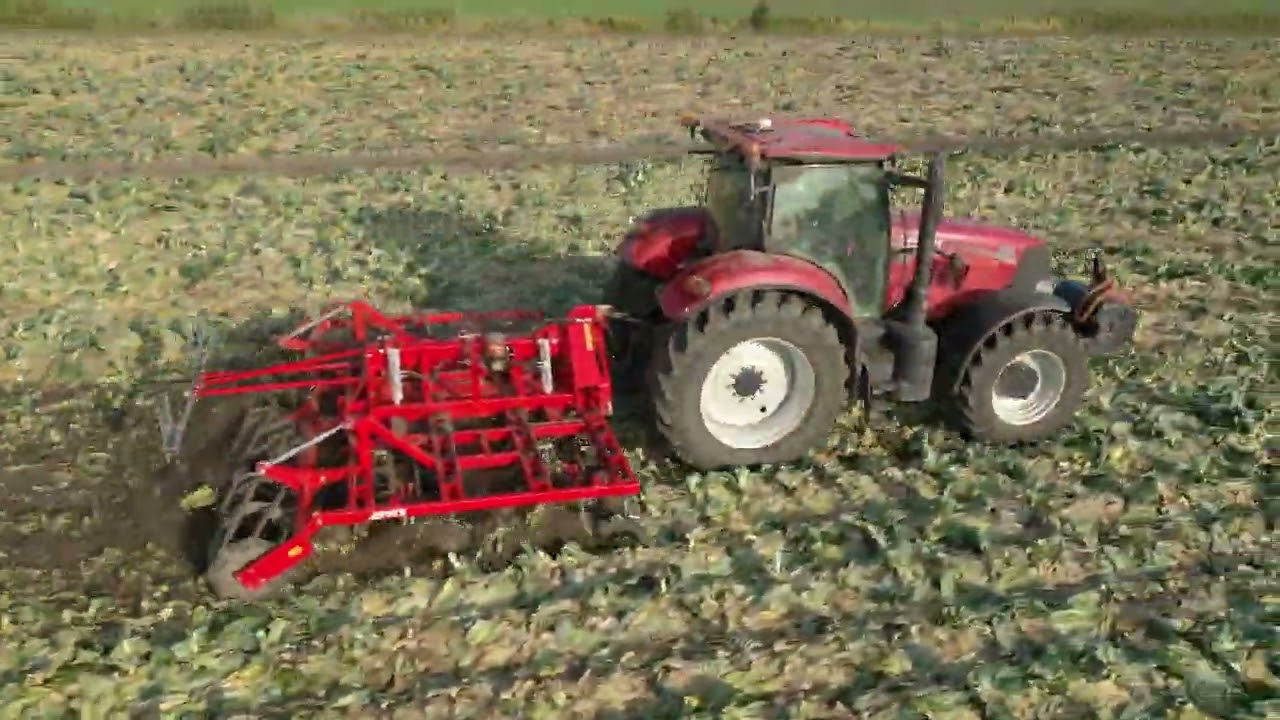 Evers Senner 4 balks schijveneg