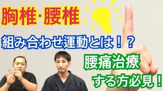 【超お得情報】胸椎・腰椎の組み合わせとは？