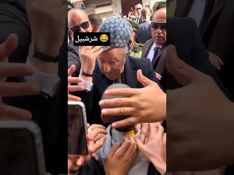 شرشبيل    الجزائر المغرب اكسبلور    