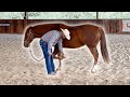 This horse was a NIGHTMARE for the Farrier