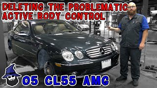 Deleting problematic Active Body Control! CAR WIZARD shows a work around for a fraction of the cost!