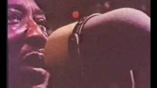 Muddy Waters - Hoochie Coochie Man (1970) chords