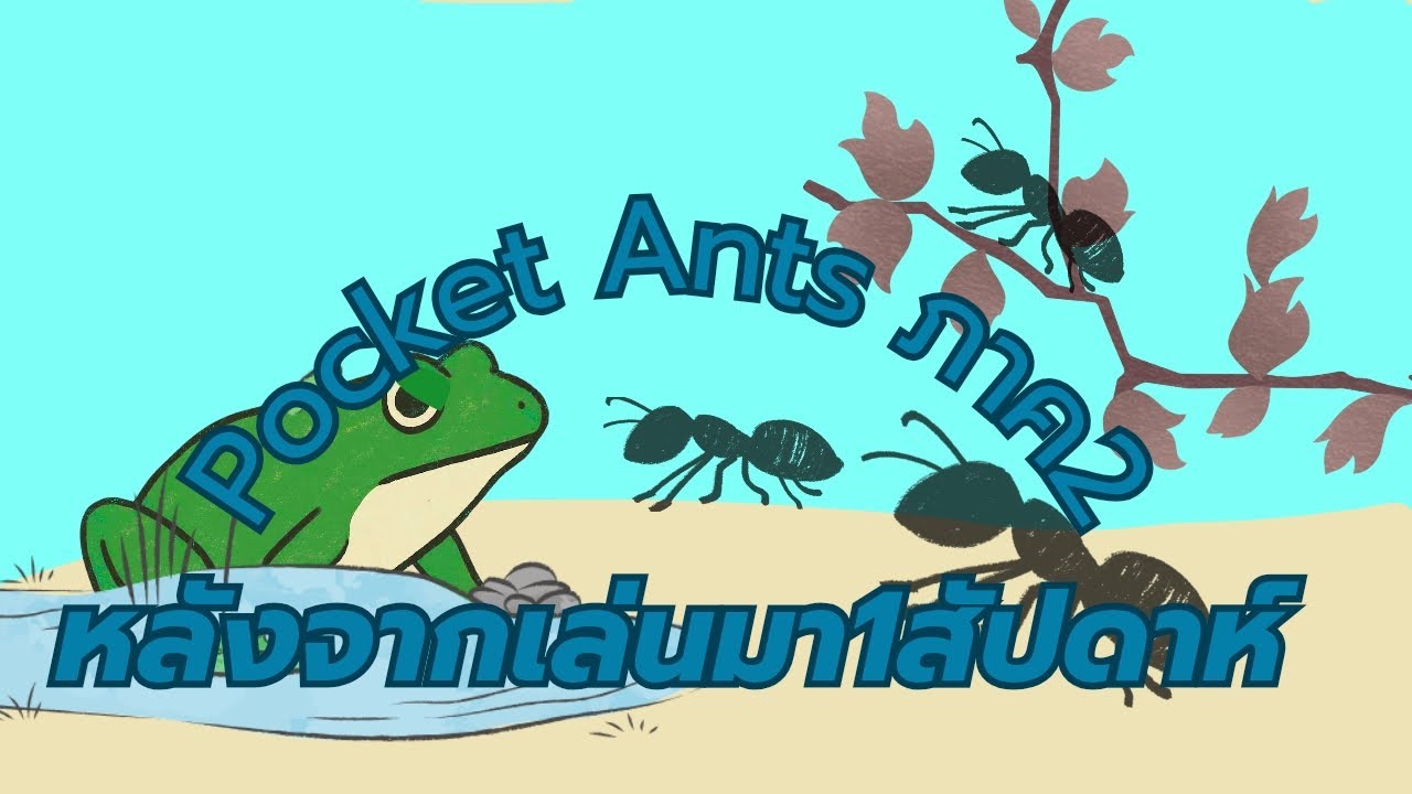 The Ants ภาค2 : หลังจาก7สัปดาห์ (9วัน)