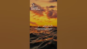 #ارح_قلبك #سورة_الملك #قطط #ماهر_المعيقلي #معلومات #دويتو #cat #روبلوكس