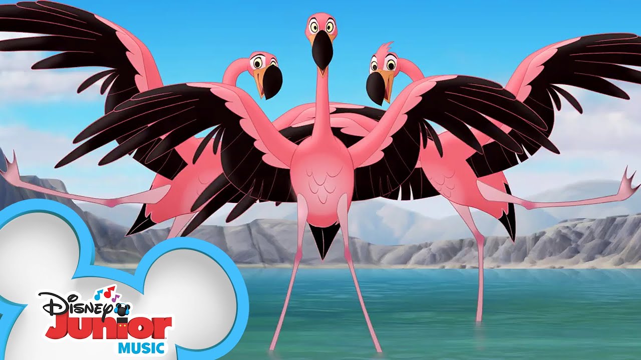 Flamingo Dance Party Music Video  The Lion Guard  Disney Junior