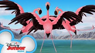 Flamingo Dance Party Music Video | The Lion Guard | Disney Junior
