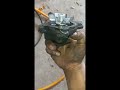 Pergantian pompa air (waterpump) vios @bengkel_dian_service_mobil