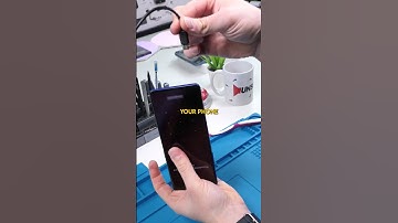 Don